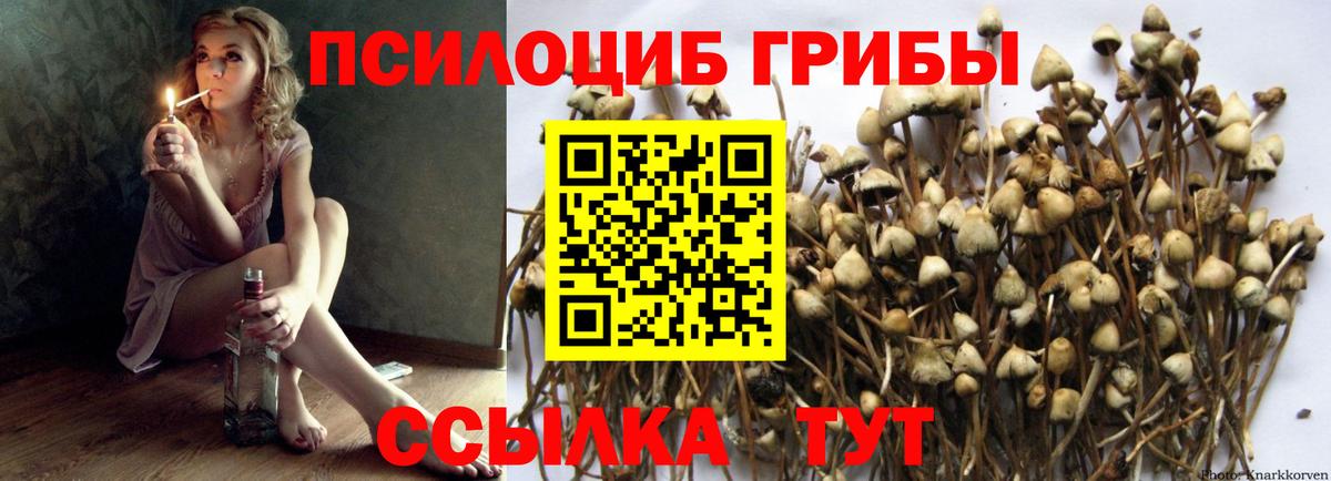 Галлюциногенные грибы Cubensis  Галлюциногенные грибы GOLDEN TEACHER  Вход с VPN  Томск 