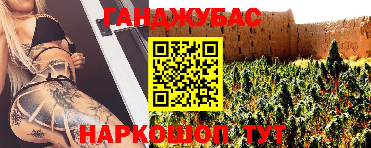 Томск  Каннабис Ganja  Вход с VPN  Каннабис планчик  Каннабис индика 